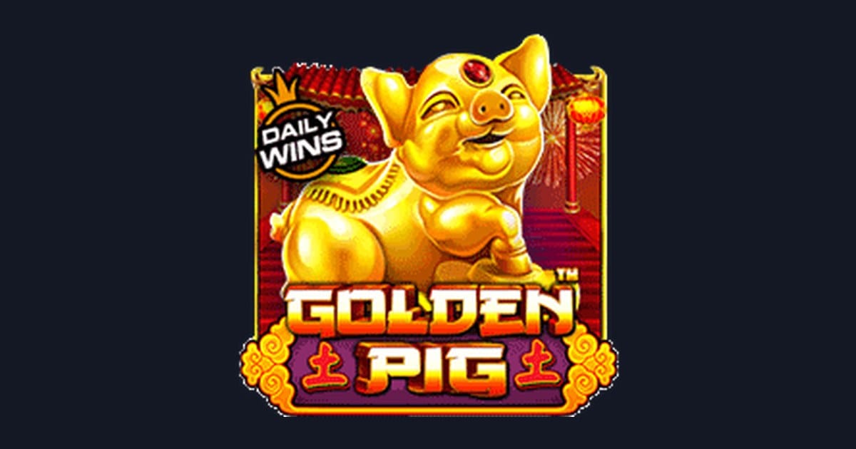 Trik Auto Maxwin Main Golden Pig dari Modal Receh 5rb yang Untung